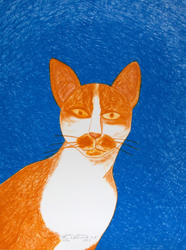 The adolescent cat