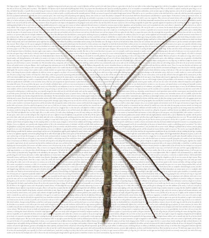 Origin:Specimens VI, pt. 1