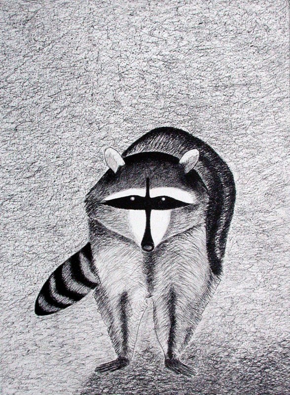 Raccoon