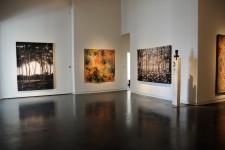 Gail Severn Gallery