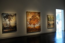 Gail Severn Gallery