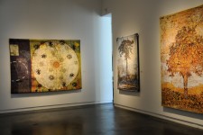 Gail Severn Gallery