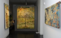 Gail Severn Gallery
