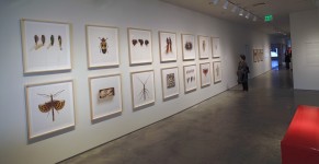 NMA-ImageF.00002