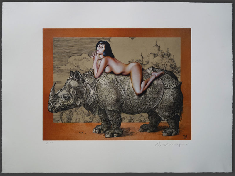 Leta on Durer’s Rhino